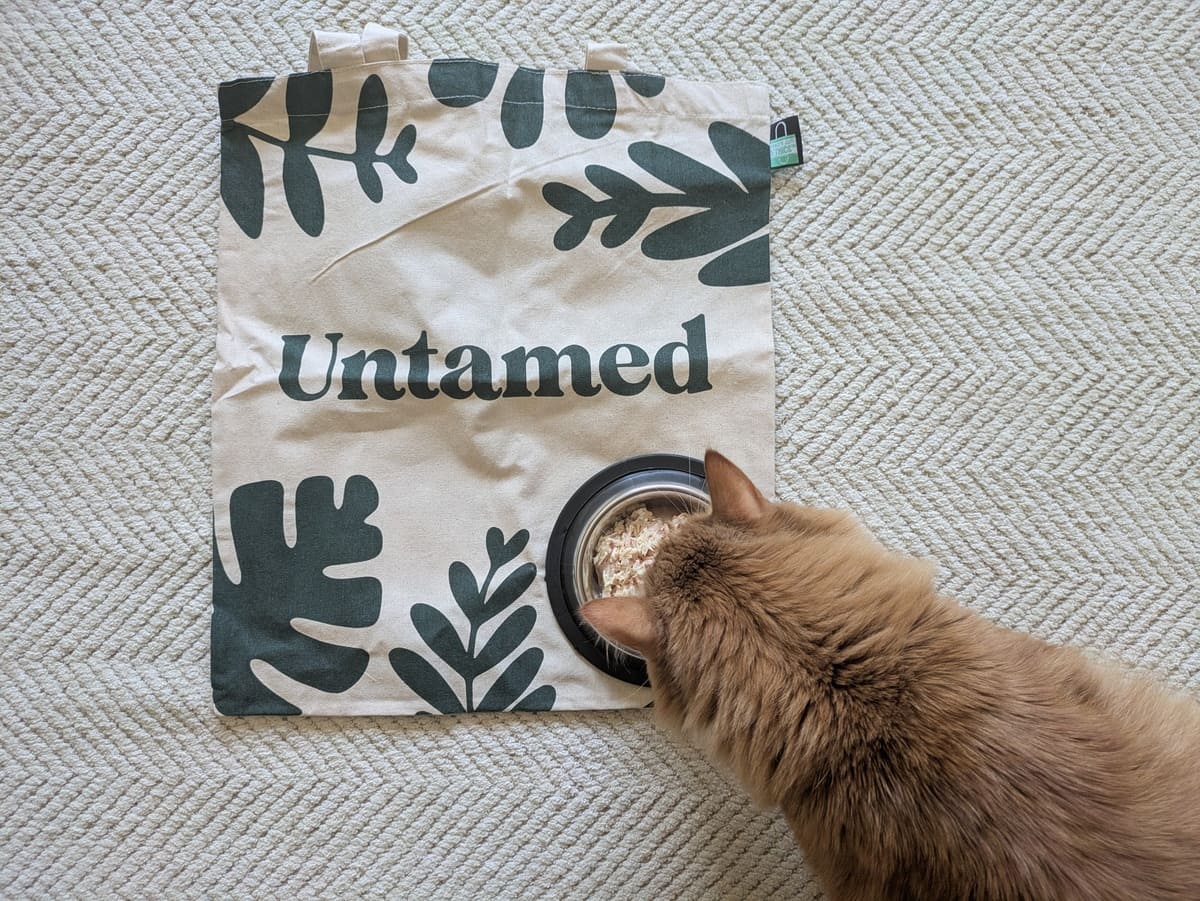 Photo: Finn with Untamed