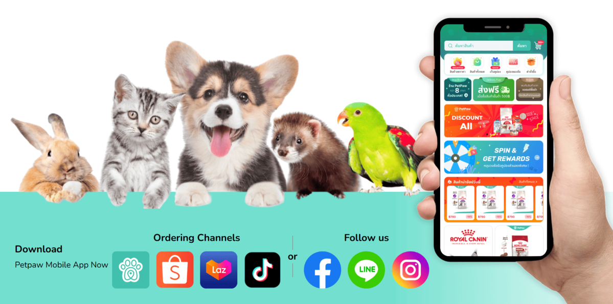 PetPaw visual