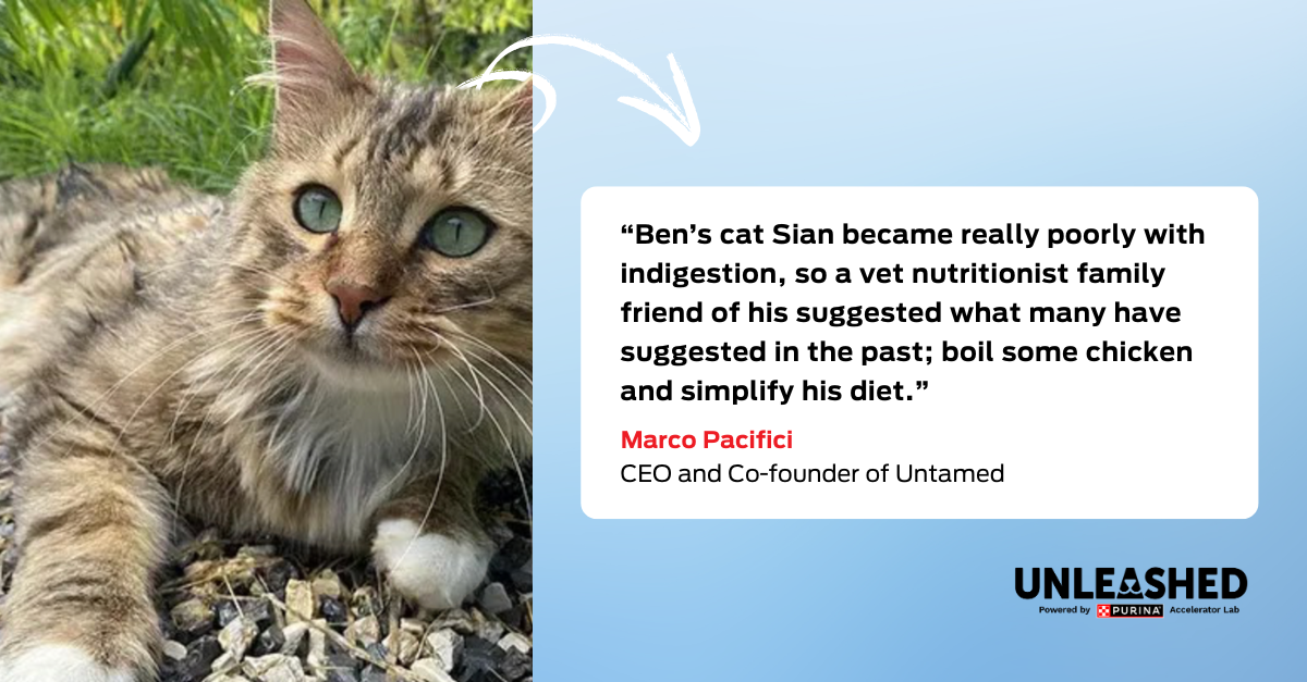 Quote graphic with photo of Sian : “Ben’s cat Sian became really poorly with indigestion, so a vet nutritionist family friend of his suggested what many have suggested in the past; boil some chicken and simplify his diet” CEO and Co-Founder of Untamed, Marco Pacifici