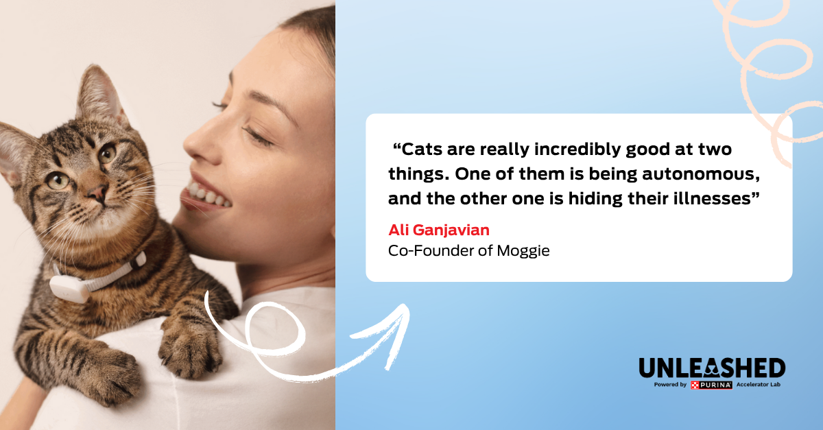 Ali Ganjavian, Co-Founder of Moggie, said that cats are “the pet of the future”. 