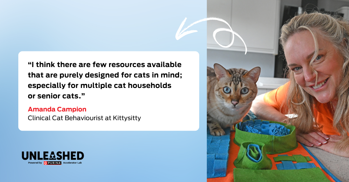 Amanda Campion, Clinical Cat Behaviourist at Kittysitty