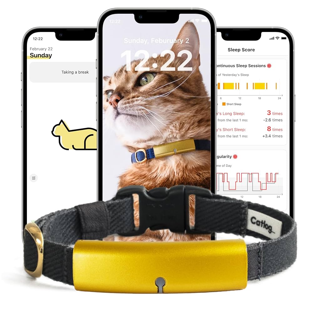 Photo: RABO,Inc Catlog system