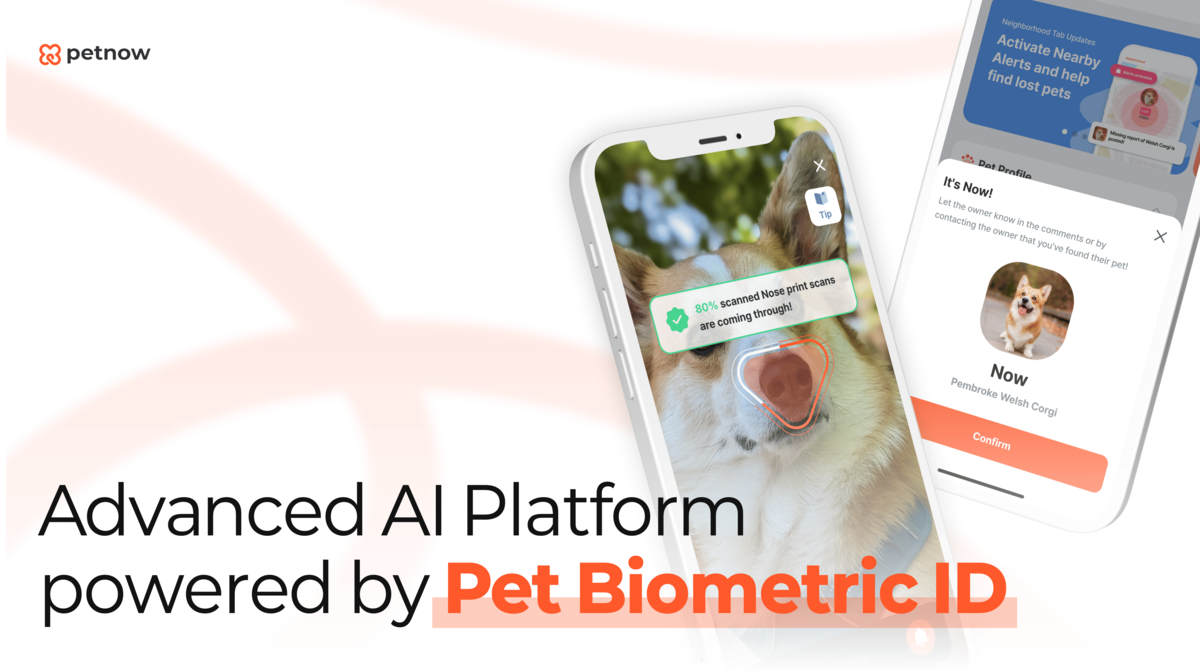 Petnow visual