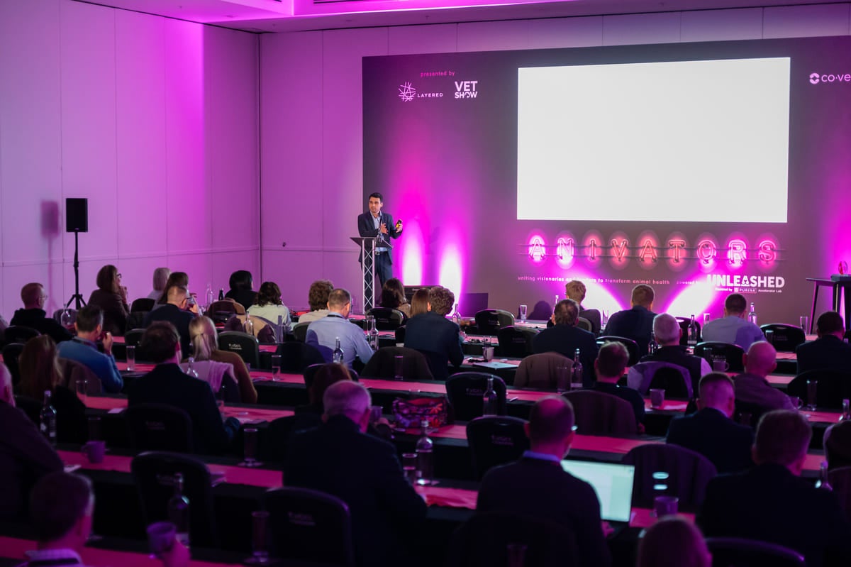 Anivators State of the Nation