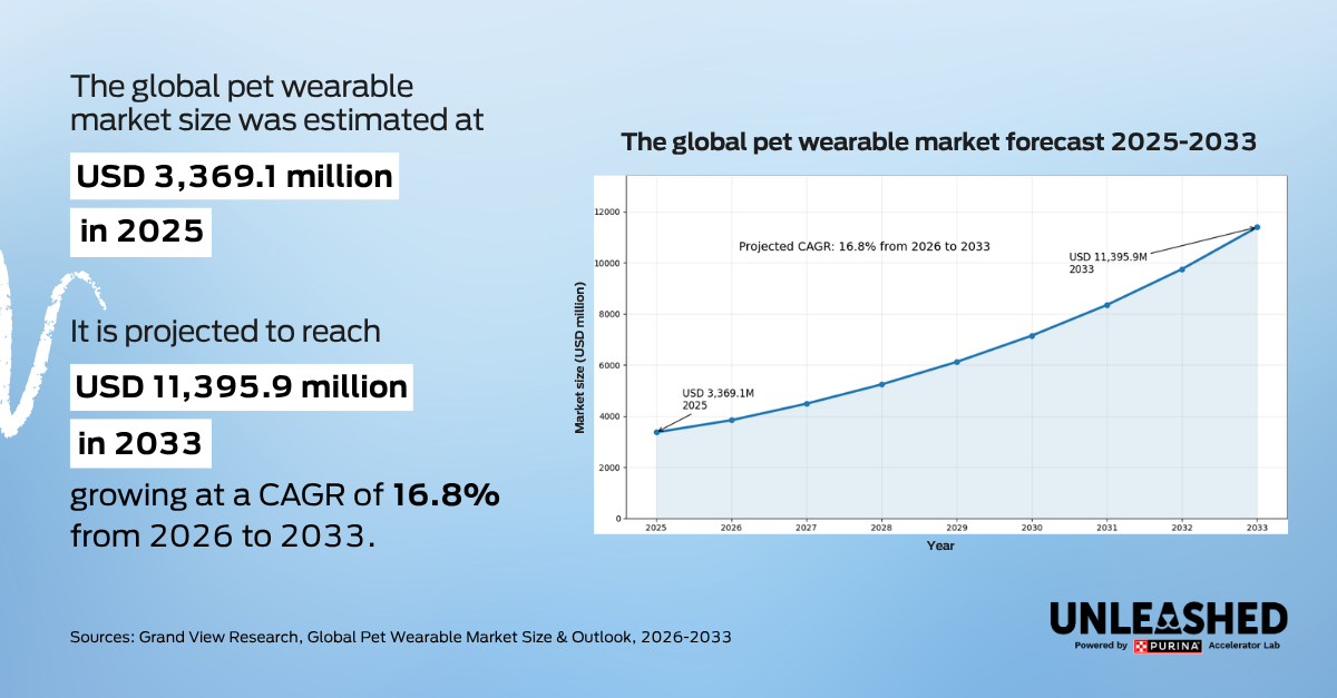 The wearable pet tech 
