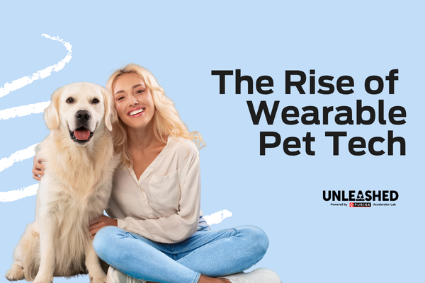 The Rise of  Wearable Pet Tech